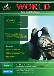 Reklama gołębi i hodowli, projekty ulotek, wizytówek stron www i kalendarzy
