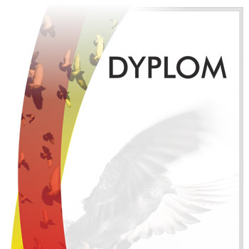 Czysty dyplom gołębi PZHGP