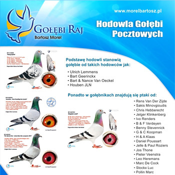 Prezentacja Hodowli: Bartosz Morel