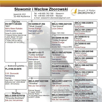 Rodowód:Sławomir & Wacław Zborowscy