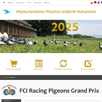 Strona internetowa: mwgmalopolska.pl